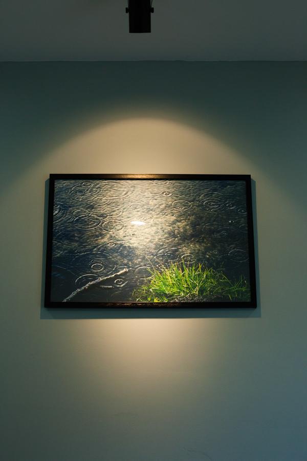 Karola Hotel ดานัง ภายนอก รูปภาพ